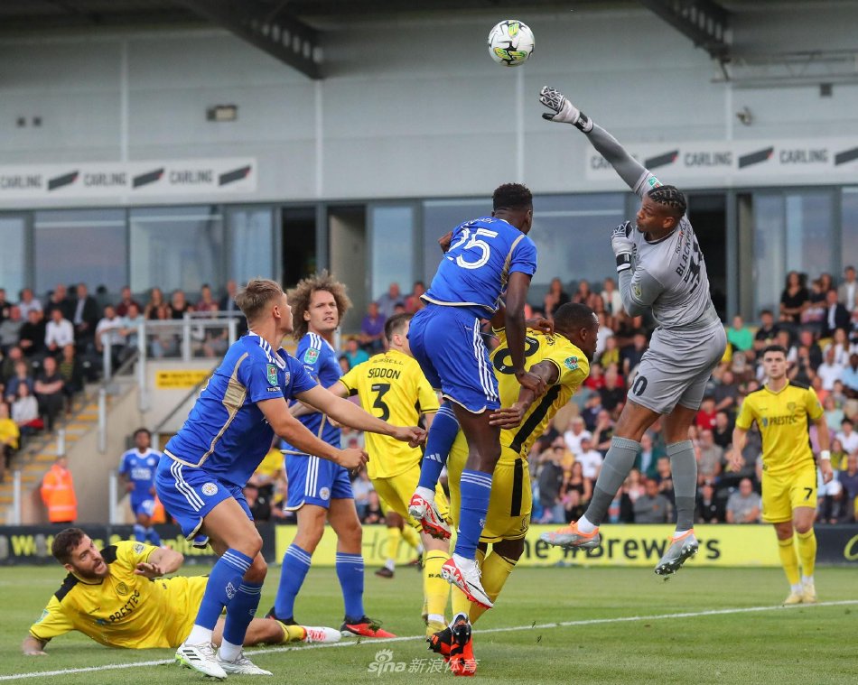 场与詹眉体 场与詹眉体